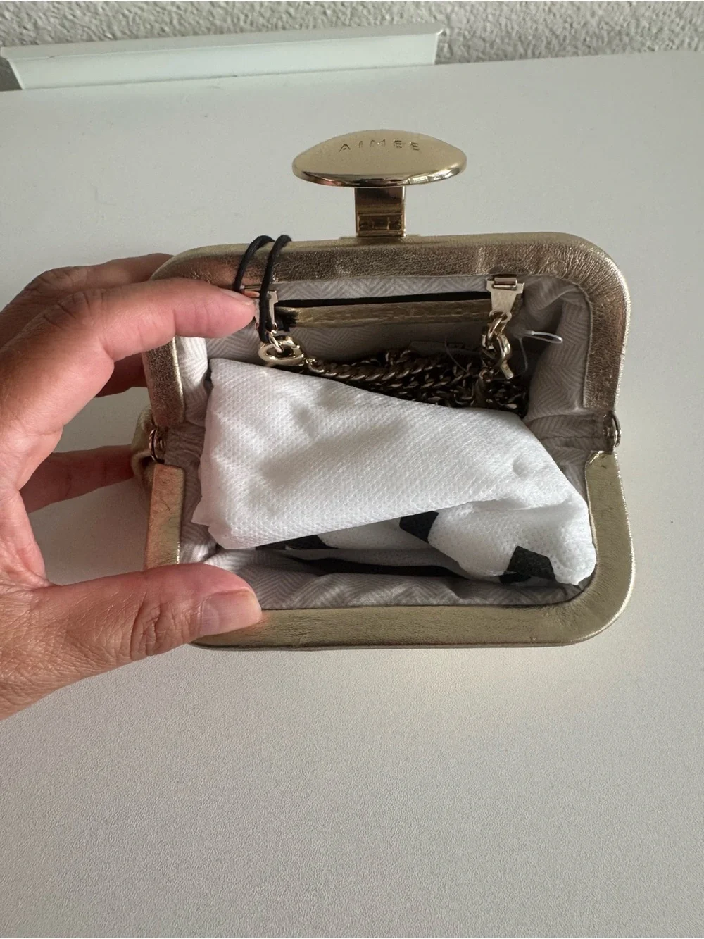 Aimee Kestenberg Full Circle Micro Crossbody